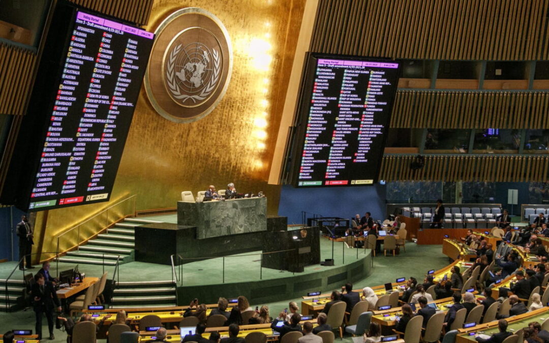 Cosa pensano dell’ONU i membri dell’ONU?